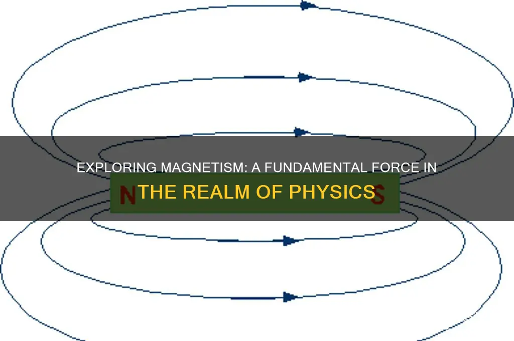 can magnetism be considered a part of physics