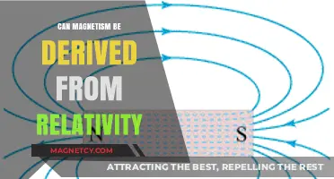 Relativity's Hidden Force: Unveiling Magnetism's Origins in Einstein's Theory