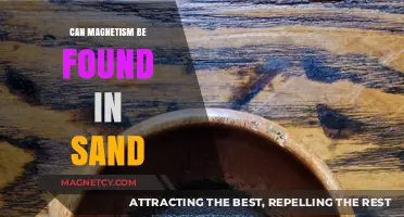 Exploring Magnetic Properties: Can Sand Exhibit Magnetism?