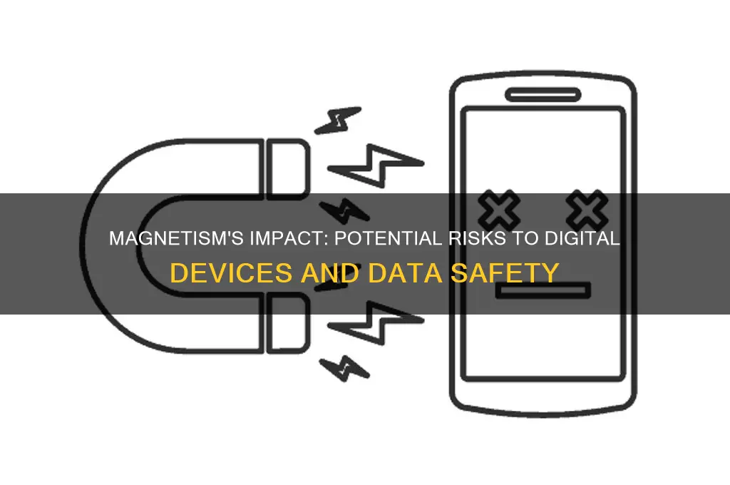 can magnetism be harmful to digital equipment