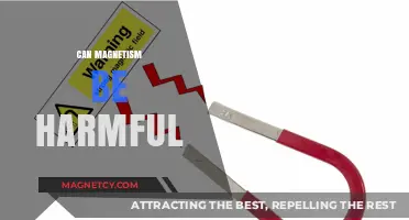 Magnetism's Hidden Dangers: Exploring Potential Harms and Safety Measures