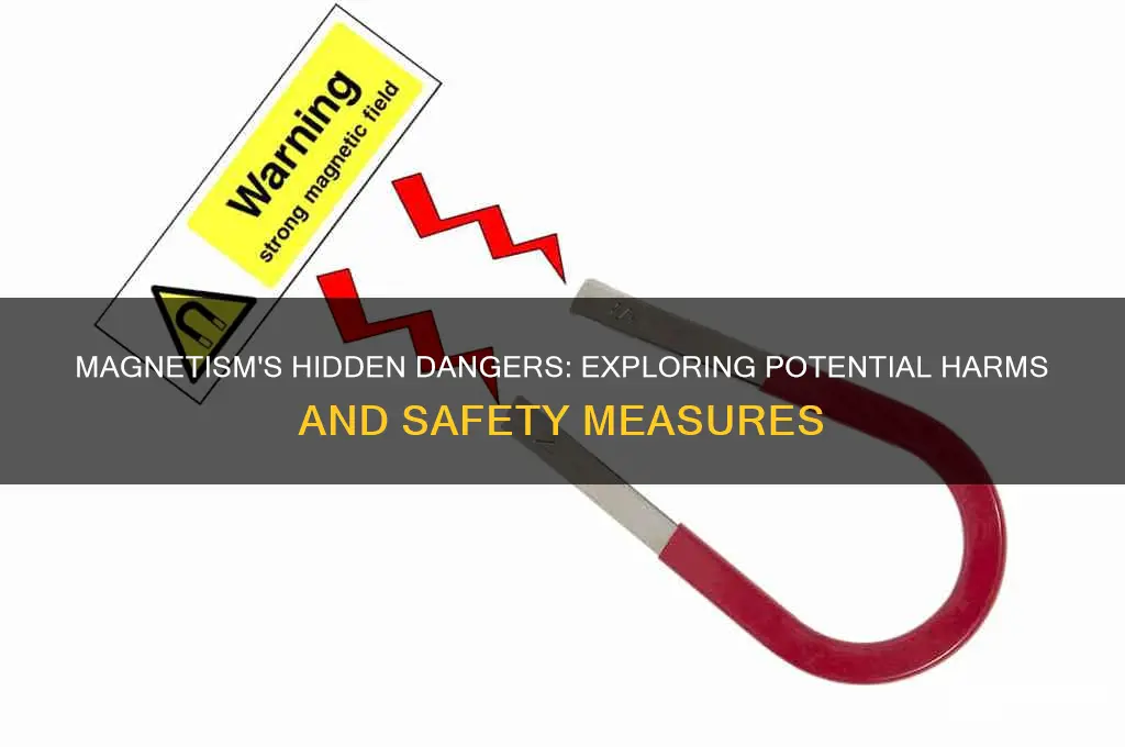 can magnetism be harmful