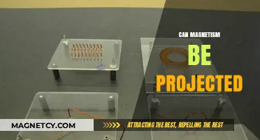 Projecting Magnetism: Exploring the Possibility of Magnetic Field Projection