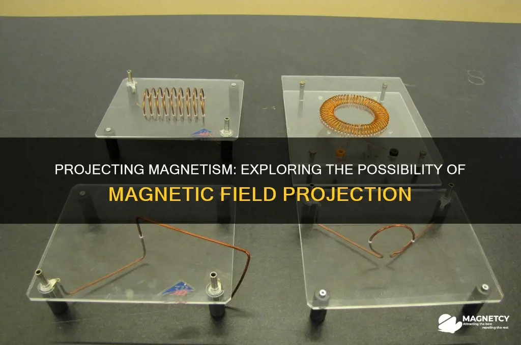 can magnetism be projected