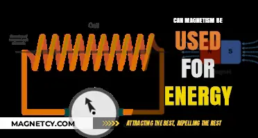 Harnessing Magnetism: A Sustainable Energy Source for the Future?