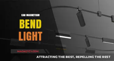 Magnetism's Influence: Can It Bend Light and Alter Optics?