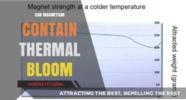 Magnetism's Role in Controlling Thermal Bloom: A Scientific Exploration