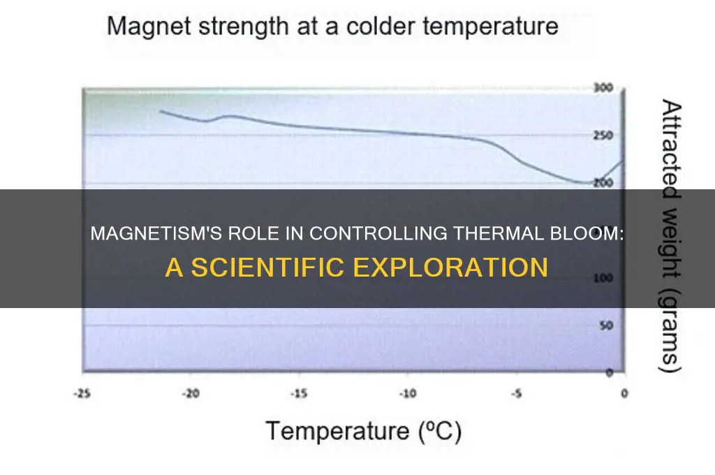 can magnetism contain thermal bloom