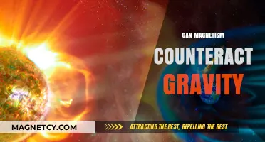 Magnetism vs. Gravity: Can Magnetic Forces Counteract Earth's Pull?