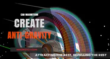 Magnetism vs. Gravity: Exploring the Potential for Anti-Gravity Effects