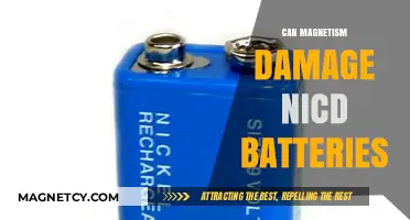 Magnetism's Impact: Can It Harm NiCd Batteries?