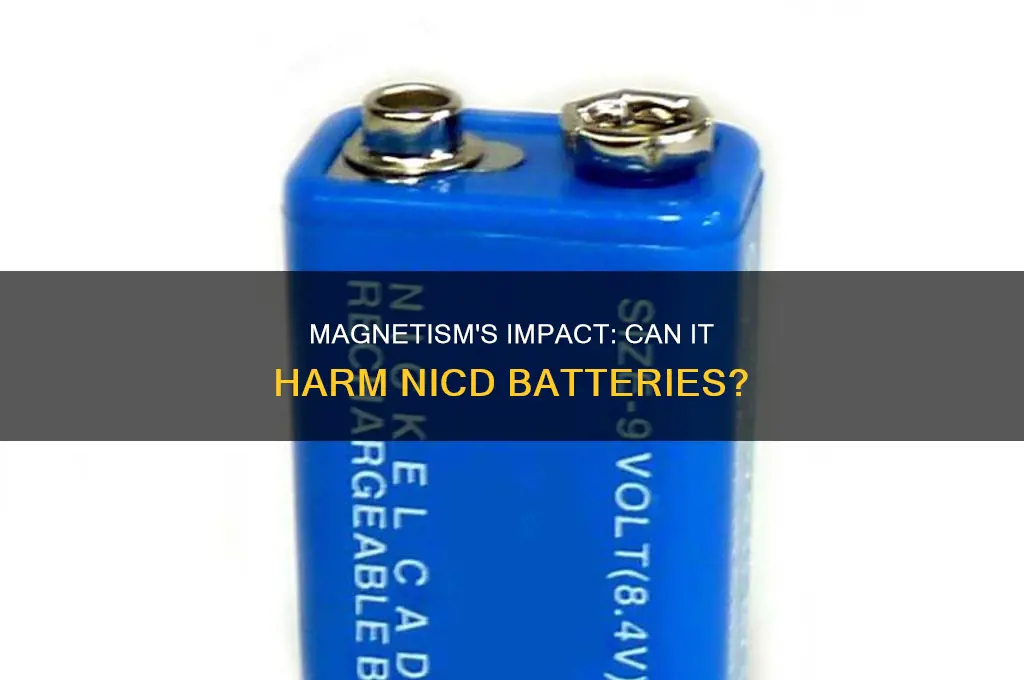 can magnetism damage nicd batteries