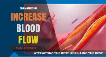 Magnetism's Impact: Enhancing Blood Flow Through Natural Energy Fields