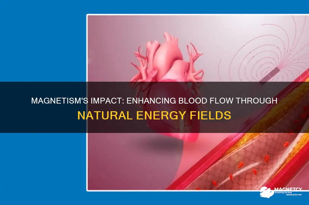 can magnetism increase blood flow