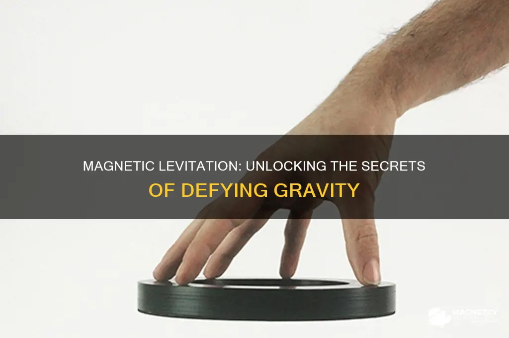 can magnetism make things levitate