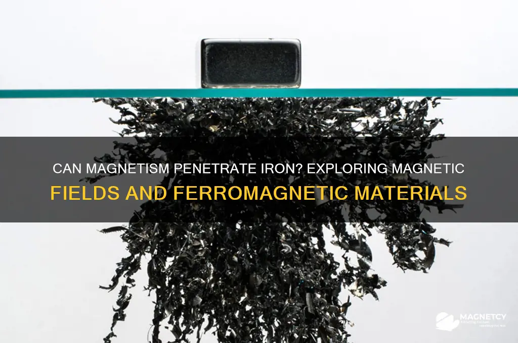 can magnetism pass through iron