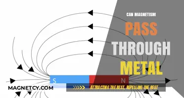 Can Magnetism Penetrate Metal? Exploring Magnetic Fields and Conductive Materials