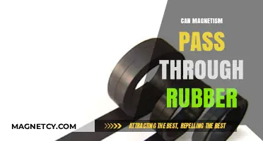 Can Magnetism Penetrate Rubber? Exploring Magnetic Fields and Materials