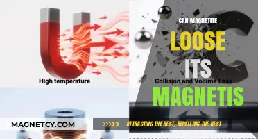 Can Magnetite Lose Its Magnetism? Exploring Demagnetization Factors