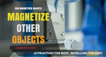 Can Magnetized Objects Transfer Magnetism to Other Materials?