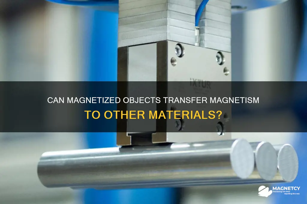 can magnetized objects magnetize other objects
