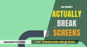 Do Magnets Pose a Real Threat to Your Screen's Safety?