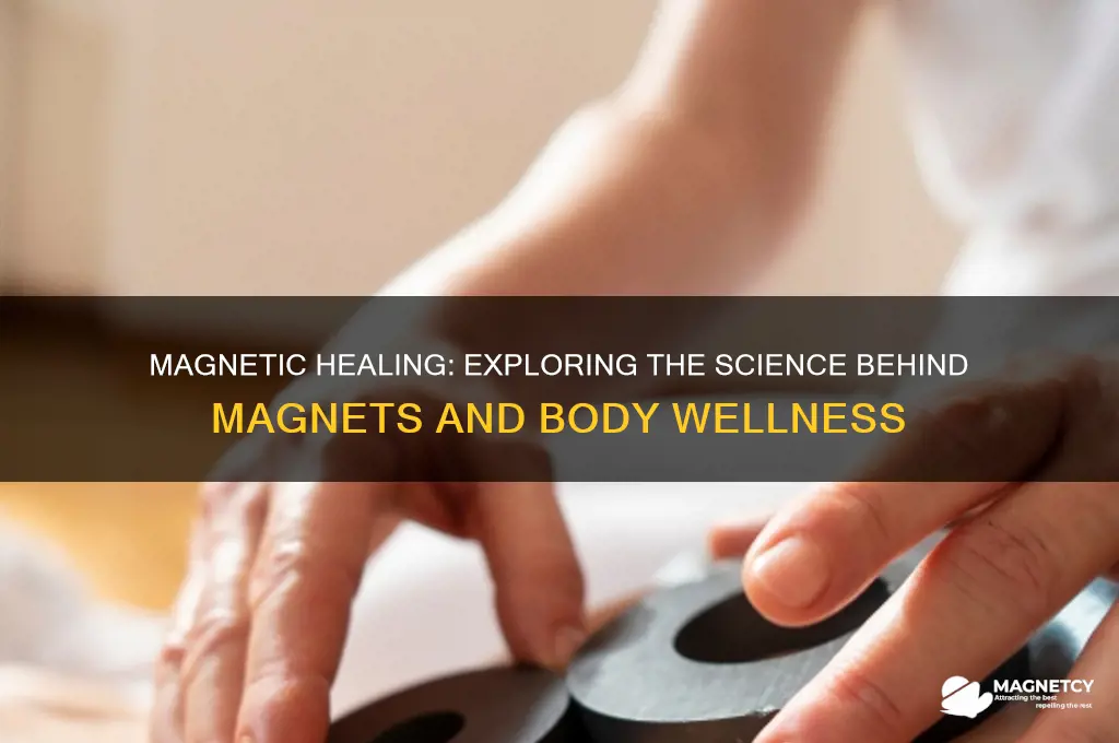 can magnets actually help the body