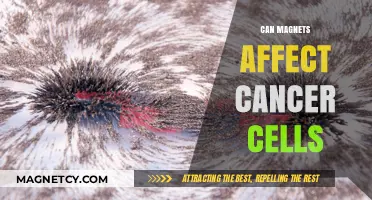 Magnetic Fields and Cancer: Exploring Potential Effects on Tumor Cells