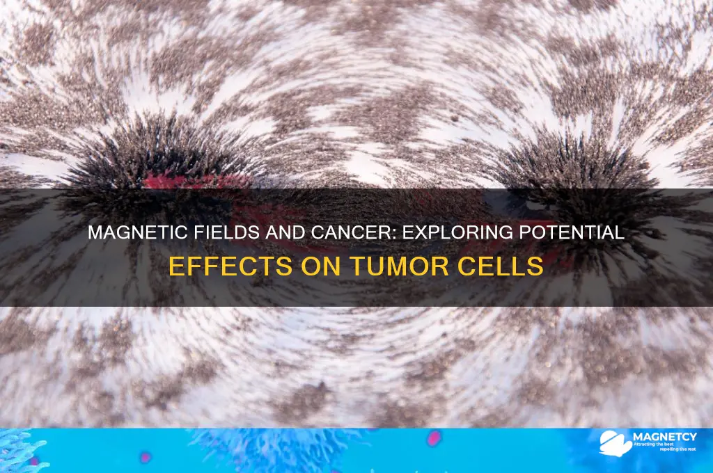 can magnets affect cancer cells