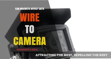 Magnetic Interference: Can Magnets Disrupt Cat5 Camera Connections?