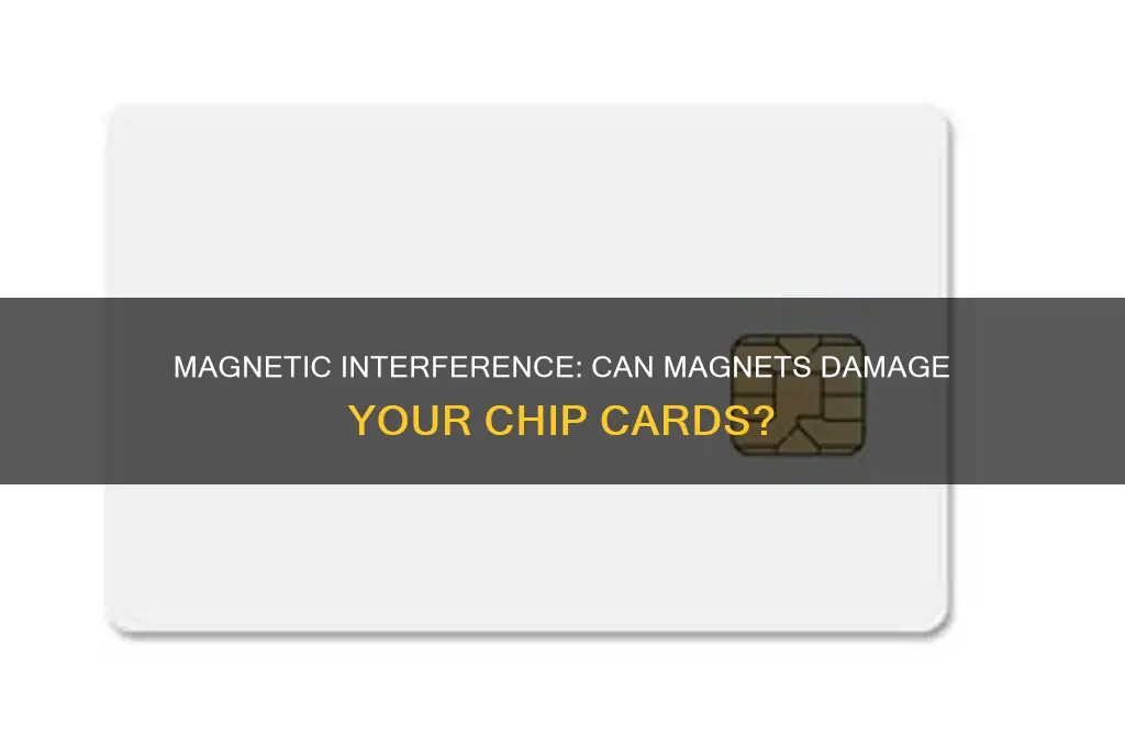 can magnets affect chip cards
