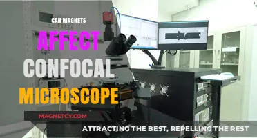 Magnetic Fields' Impact on Confocal Microscope Performance and Imaging Precision