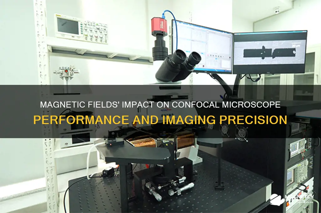 can magnets affect confocal microscope