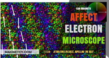 Magnetic Fields and Electron Microscopes: Potential Impacts and Interference