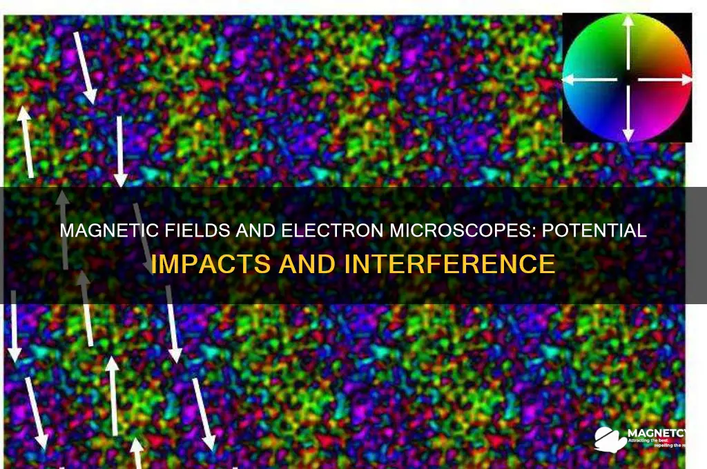 can magnets affect electron microscope