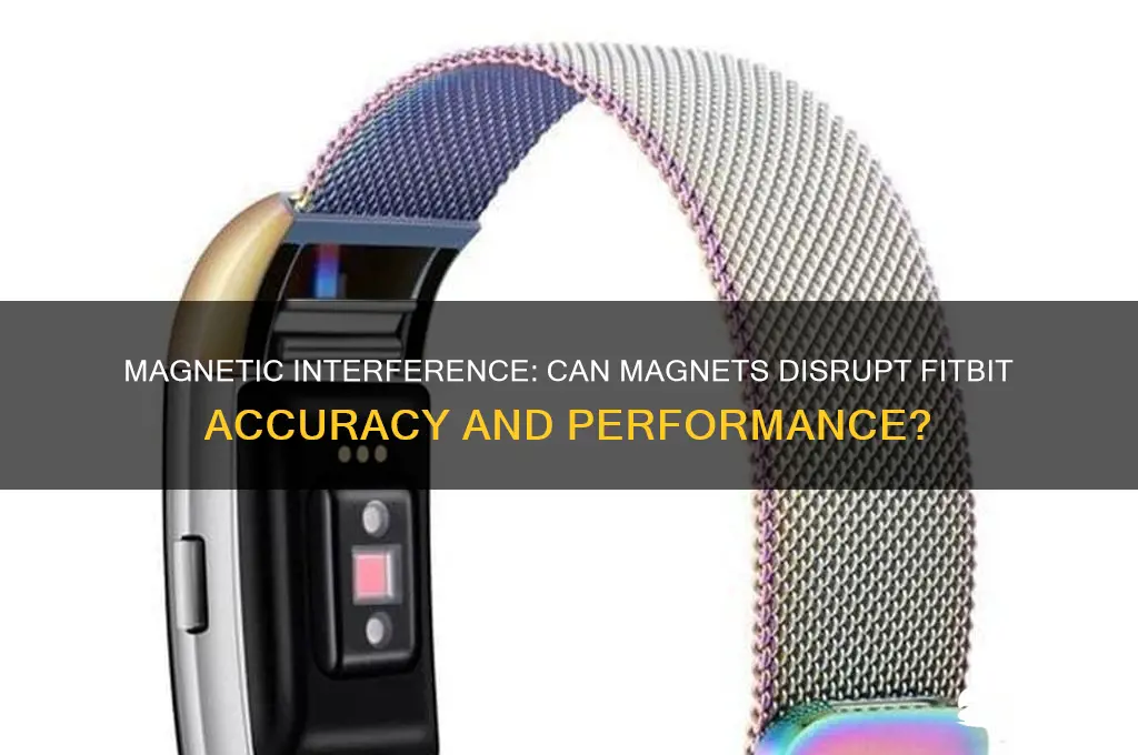 can magnets affect fits bits