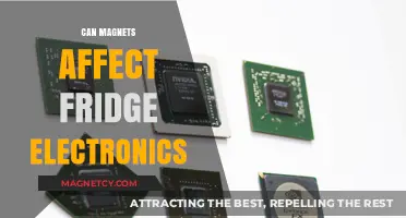 Do Magnets Interfere with Fridge Electronics? Exploring the Risks and Facts