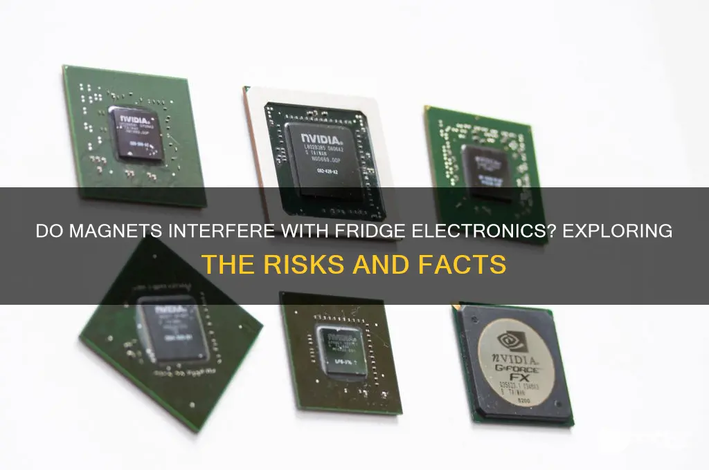 can magnets affect fridge electronics