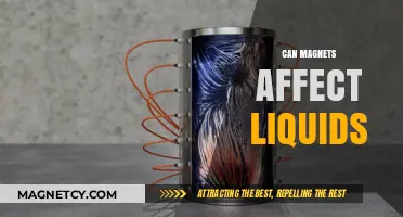 Magnetic Influence: Exploring How Magnets Interact with Liquids