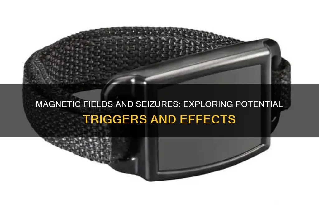 can magnets affect seizures