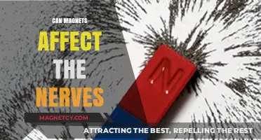 Magnetic Influence: Exploring How Magnets Interact with Nerve Function