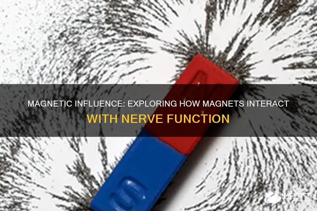 can magnets affect the nerves