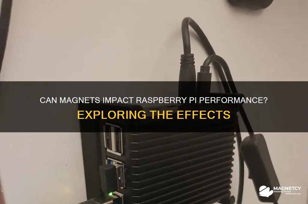 can magnets affect the raspberry