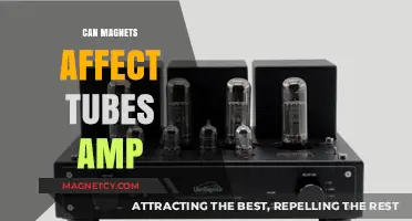 Magnets and Tube Amps: Unraveling the Impact on Sound Quality
