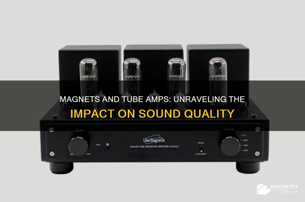 can magnets affect tubes amp
