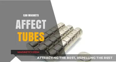 Magnetic Fields and Tubes: Exploring Potential Interactions and Effects