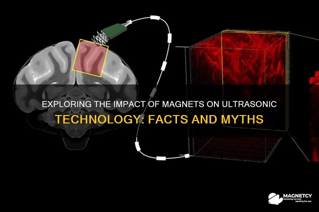 can magnets affect ultrasonic