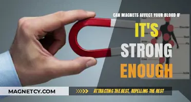 Strong Magnets and Blood: Unraveling the Science Behind Potential Effects