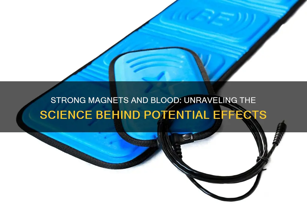 can magnets affect your blood if it