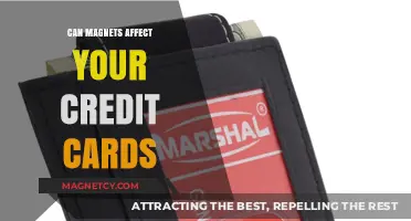 Magnets and Credit Cards: Debunking Myths and Protecting Your Data